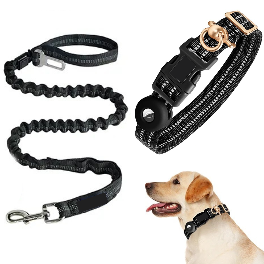 Dog Collar And Leash