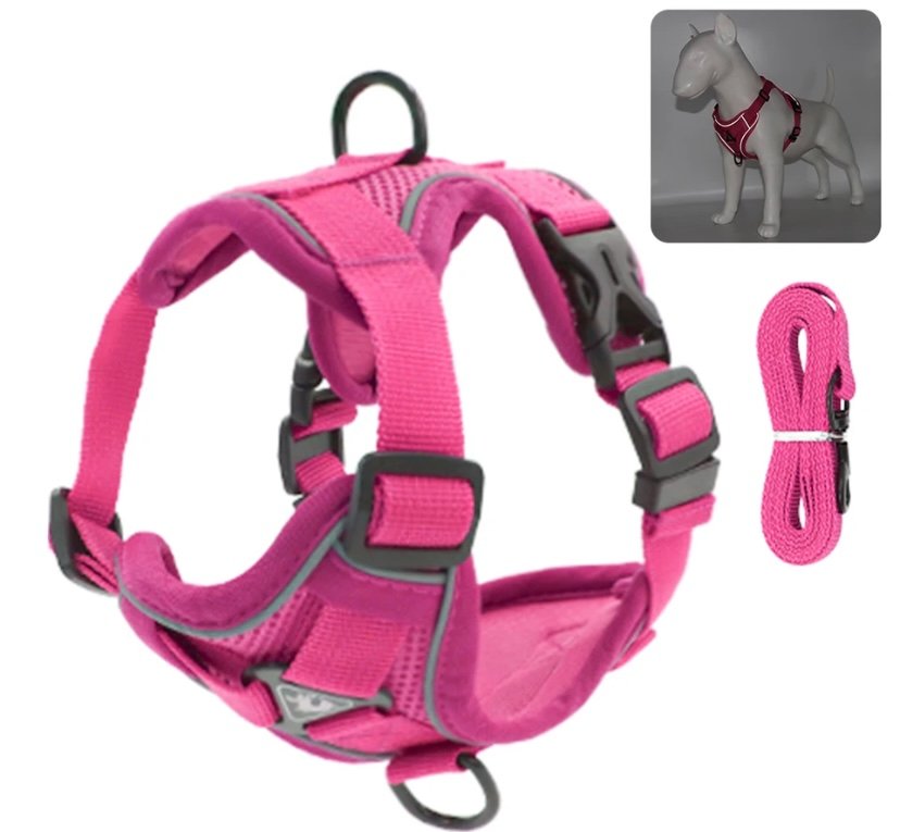Small Dog Harness